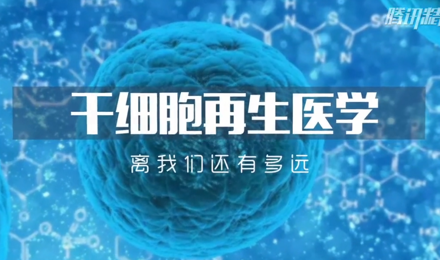 干细胞再生医学离我们还有多远？